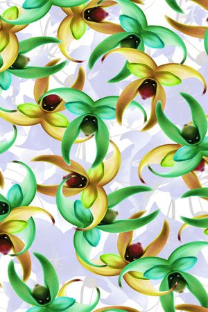 花鸟印花华亿平台图片