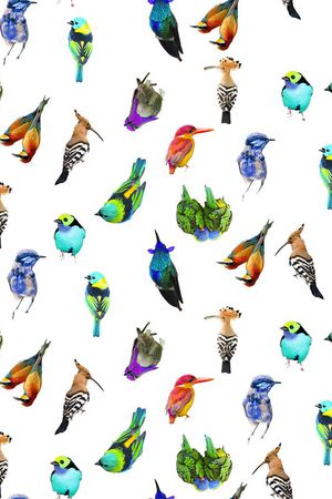 动物印花华亿平台图片