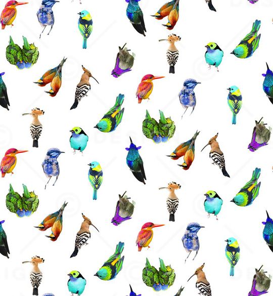 动物印花华亿平台图片