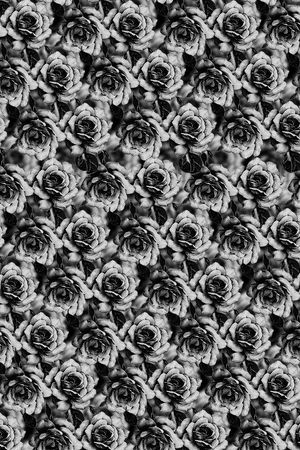 男装印花集锦印花华亿平台图片