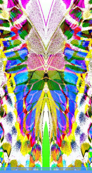 332562-定位蝴蝶翅膀纹路4