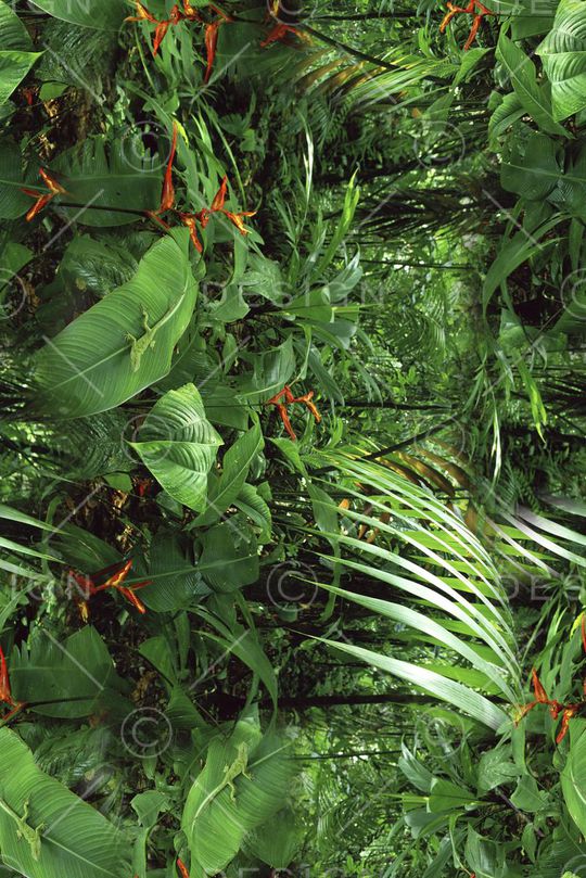 打折华亿平台印花华亿平台图片