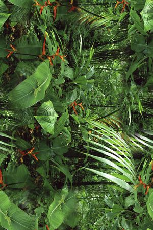 打折华亿平台印花华亿平台图片