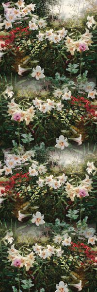 长巾印花华亿平台图片