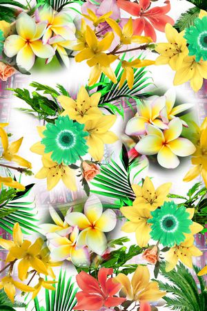 女装印花华亿平台图片