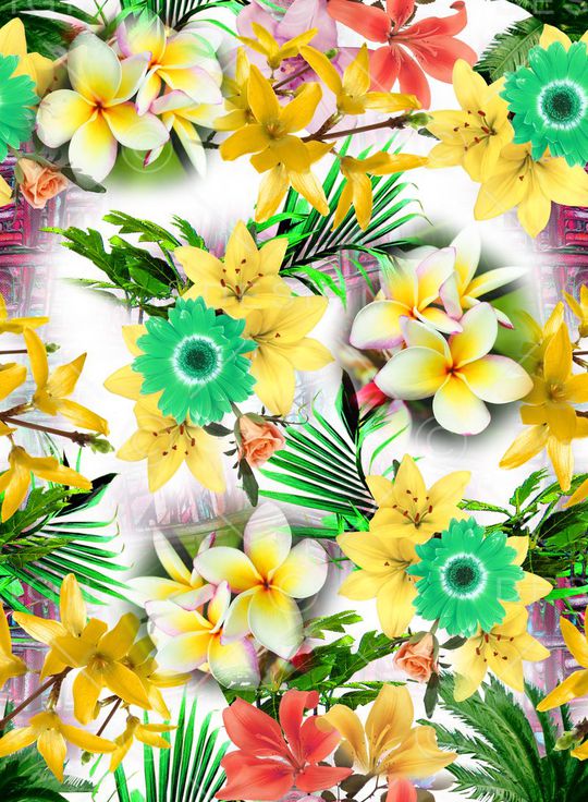 女装印花华亿平台图片