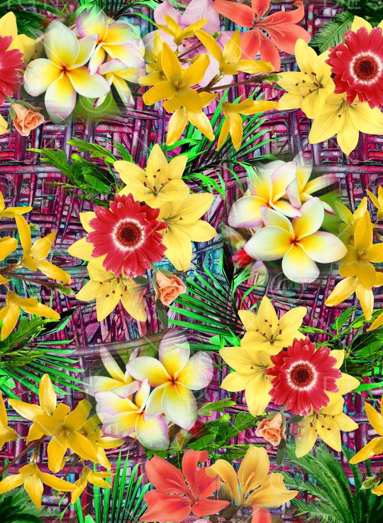 欧美印花华亿平台图片