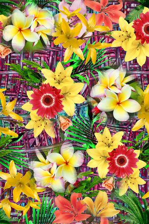 欧美印花华亿平台图片