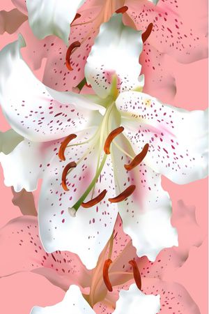 长巾印花华亿平台图片