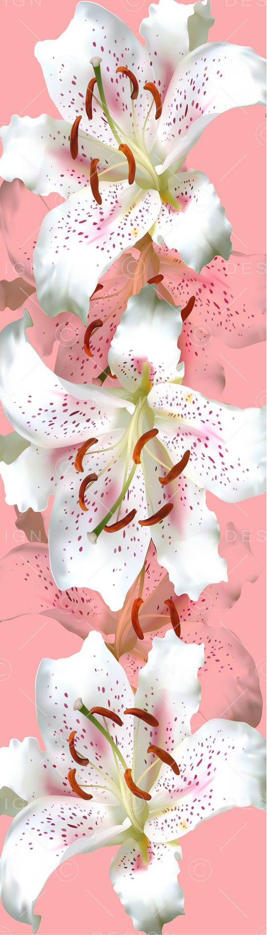 长巾印花华亿平台图片