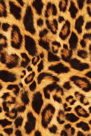 动物纹印花华亿平台图片