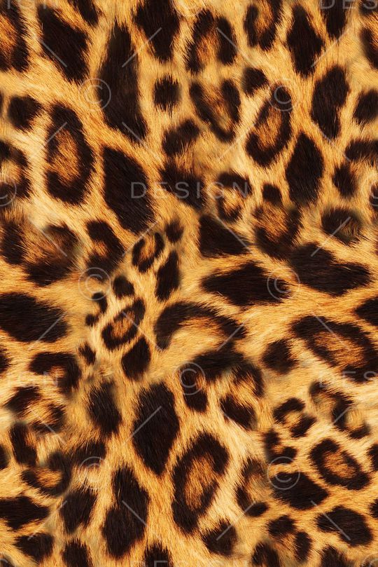 动物纹印花华亿平台图片