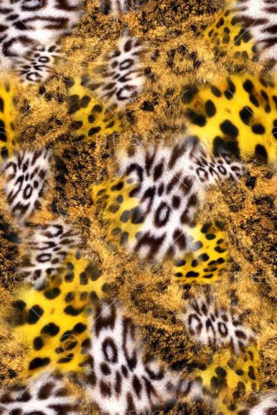 动物纹印花华亿平台图片