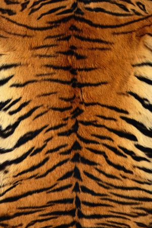 动物纹印花华亿平台图片