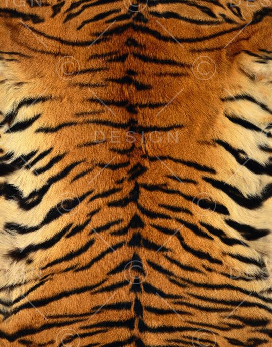 动物纹印花华亿平台图片