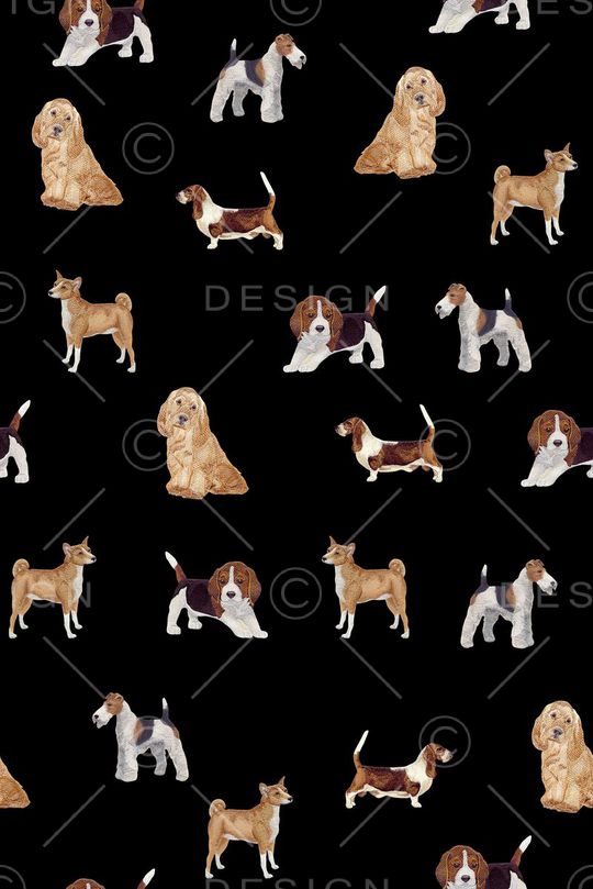 流行时尚花等印花华亿平台图片