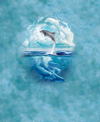 334571-屌炸天3D效果海豚印花