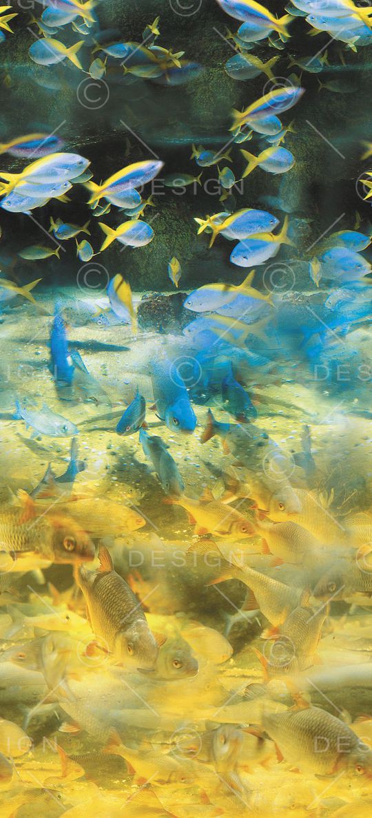 四方两方连续印花华亿平台图片