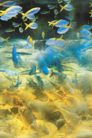 四方两方连续印花华亿平台图片