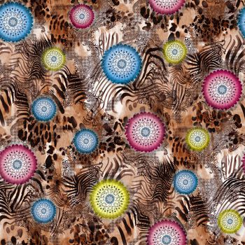 334615-枇杷腰果盘华亿平台003