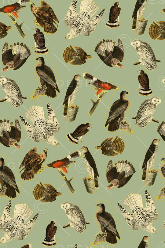 流行时尚花等印花华亿平台图片