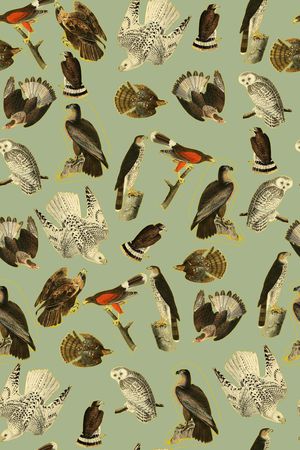 流行时尚花等印花华亿平台图片