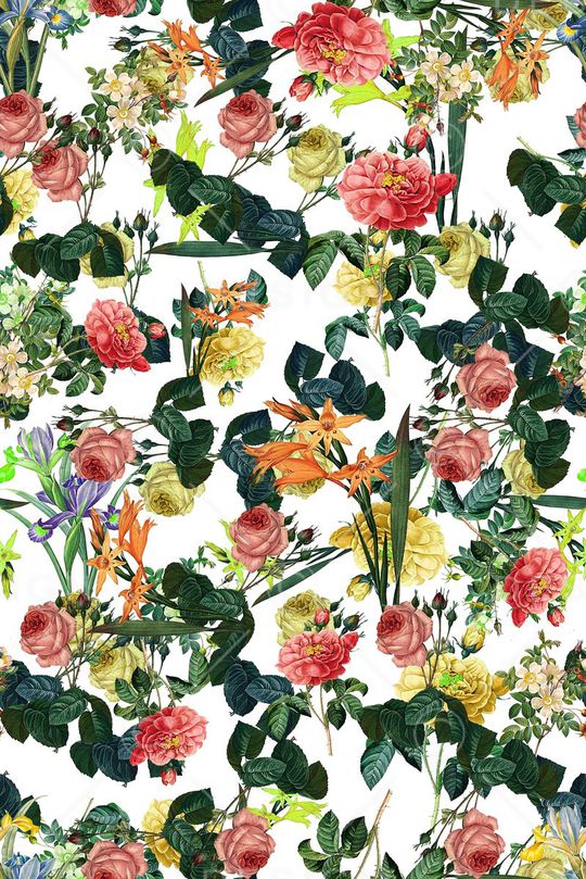 男女泳装印花华亿平台图片