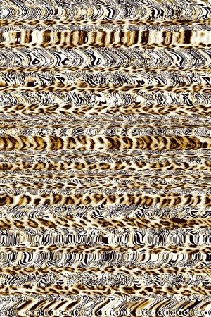 豹纹印花华亿平台图片