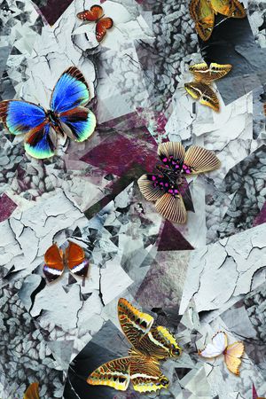 印花华亿平台图片