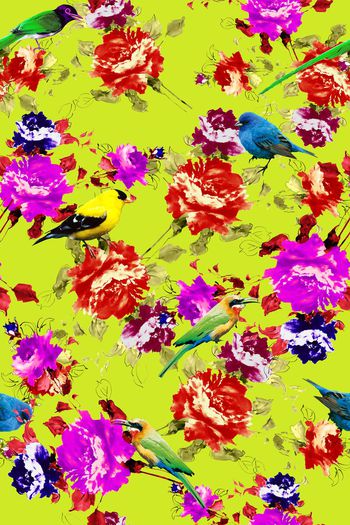 335154-29水彩花卉多彩真鸟