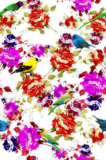 335163-水彩花卉多彩真鸟