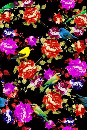 335164-水彩花卉多彩真鸟
