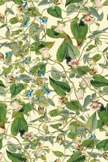 335238-手绘花卉植物清雅水彩复古印花