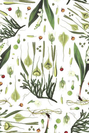 潮流印花华亿平台图片