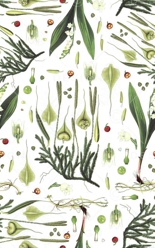 潮流印花华亿平台图片