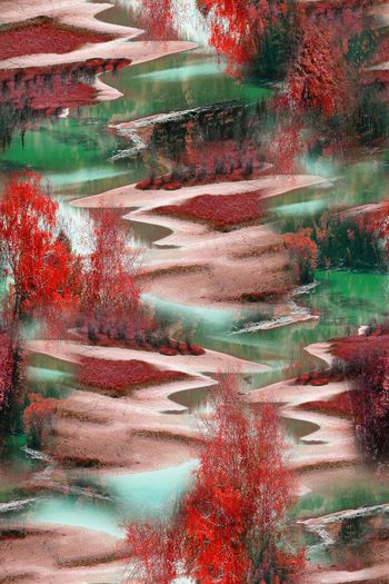 335329-地表景观写实几何照片印花