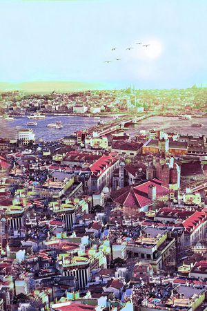 休闲印花华亿平台图片