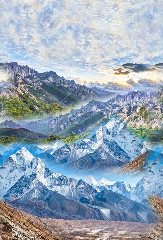 休闲印花华亿平台图片