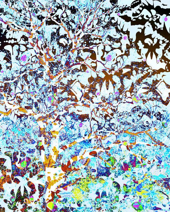 印花华亿平台图片