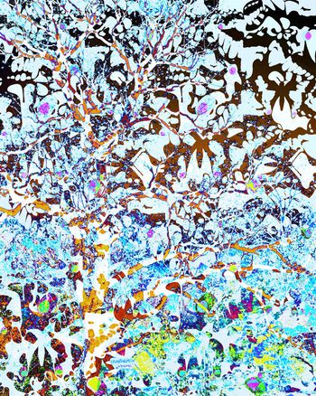 印花华亿平台图片