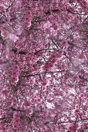 打折华亿平台印花华亿平台图片