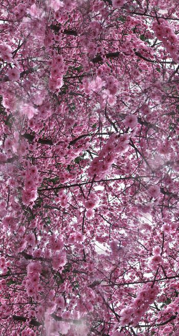 打折华亿平台印花华亿平台图片