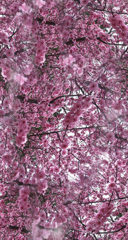 打折华亿平台印花华亿平台图片