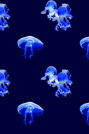 海洋生物印花华亿平台图片