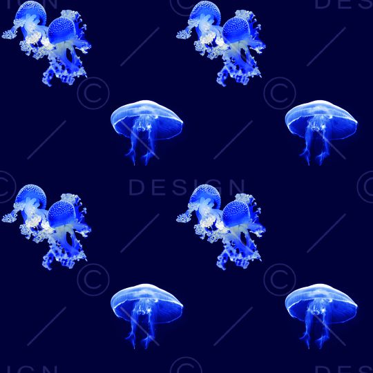 海洋生物印花华亿平台图片