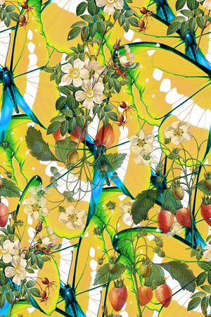 男女泳装印花华亿平台图片