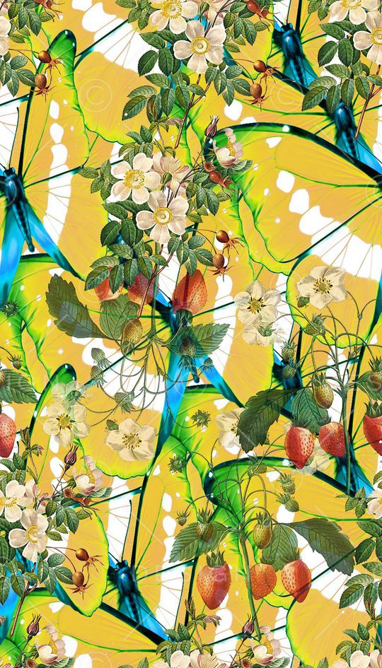 男女泳装印花华亿平台图片