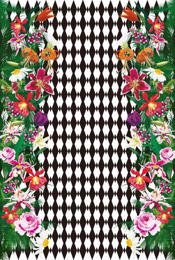 336747-椰子树棕榈树热带风情花卉1