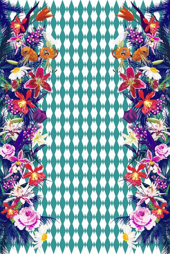 336748-椰子树棕榈树热带风情花卉2