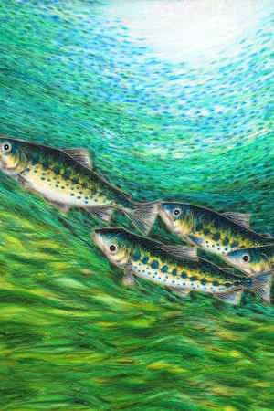 定位华亿平台印花华亿平台图片